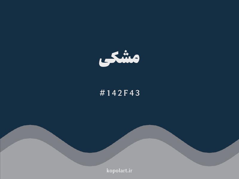رنگ مشکی با کد هگزادسیمال 142F43