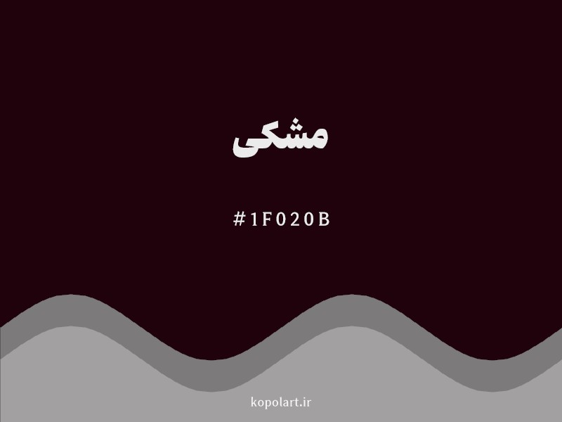 رنگ مشکی با کد هگزادسیمال 1F020B