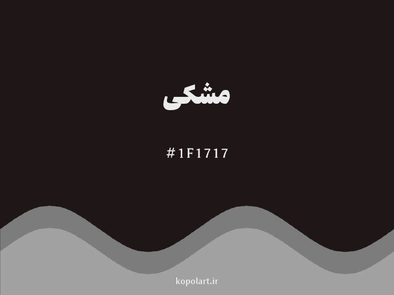 رنگ ‌مشکی با کد هگزادسیمال 1F1717 و نام لاتین Black Color