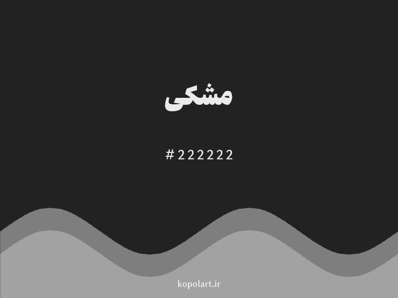 رنگ مشکی با کد هگزادسیمال 222222 و نام لاتین Black Color