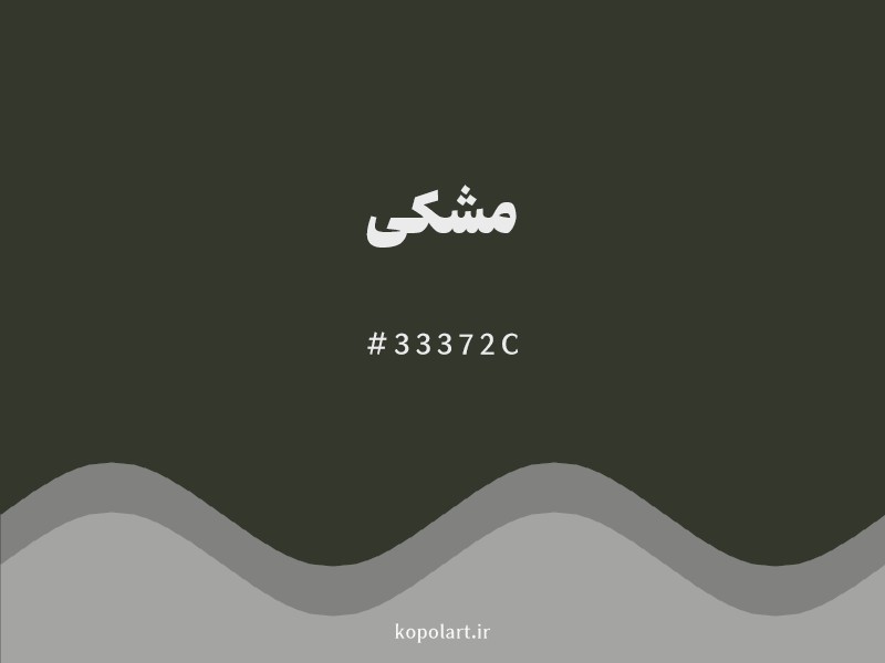 رنگ مشکی با کد هگزادسیمال 33372C و نام لاتین Black Color