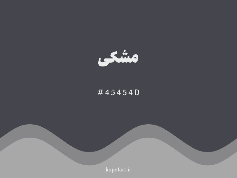 رنگ مشکی با کد هگزادسیمال 45454D و نام لاتین Black Color