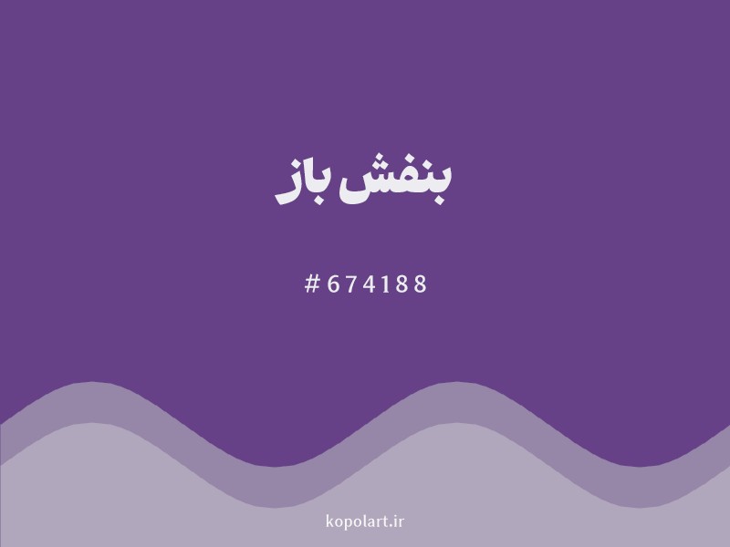 رنگ بنفش باز با کد هگزادسیمال 674188 و نام لاتین Bright Purple Color