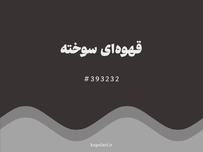 رنگ قهوهای سوخته با کد هگزادسیمال 393232