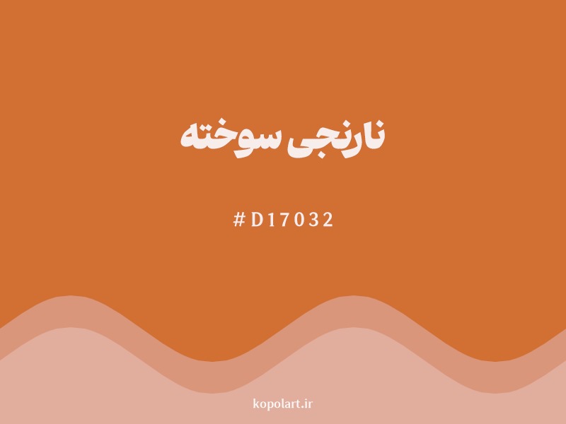 رنگ نارنجی سوخته با کد هگزادسیمال D17032