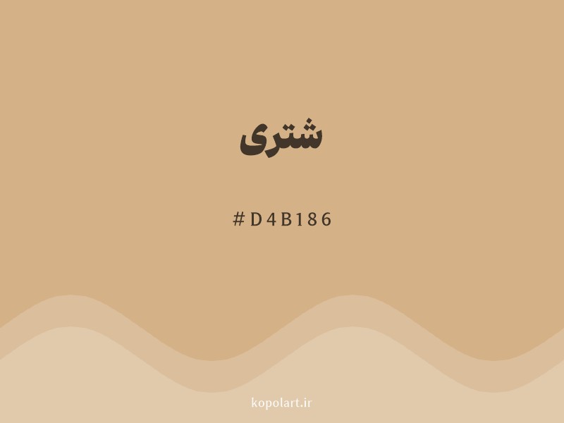 رنگ شتری با کد هگزادسیمال D4B186 و نام لاتین Camel Color