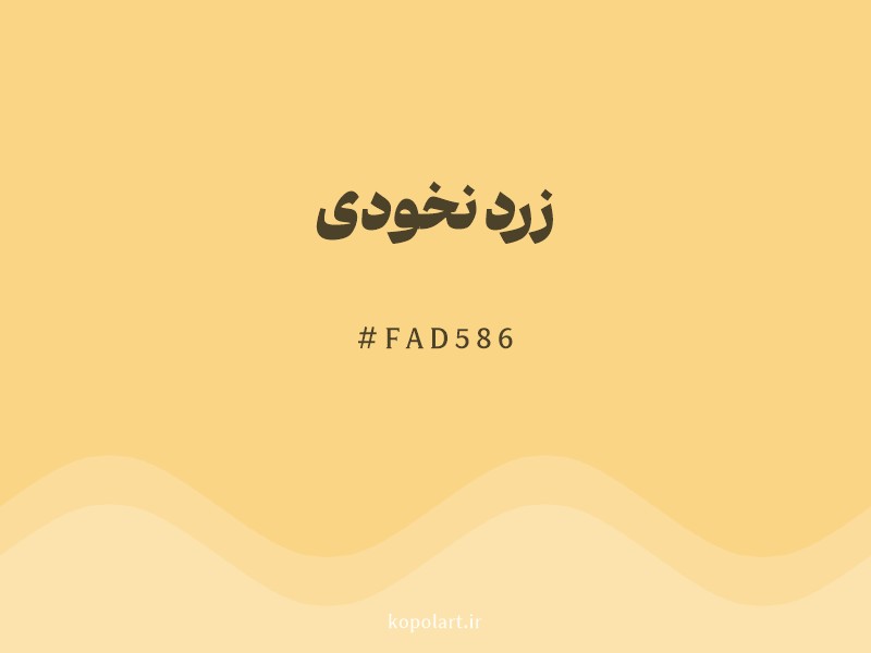 رنگ زرد نخودی با کد هگزادسیمال FAD586 و نام لاتین Chickpea Yellow Color