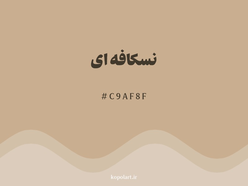 رنگ نسکافه ای با کد هگزادسیمال C9AF8F
