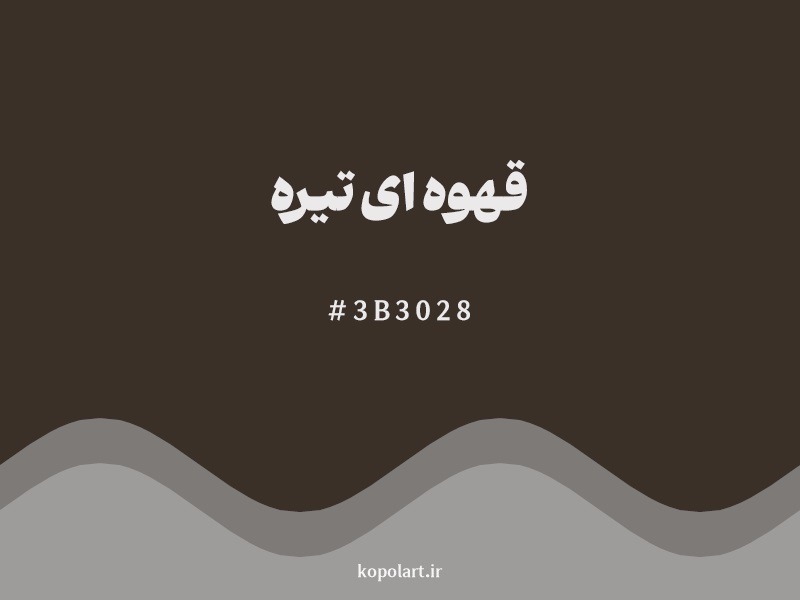 رنگ قهوه ای تیره با کد هگزادسیمال 3B3028