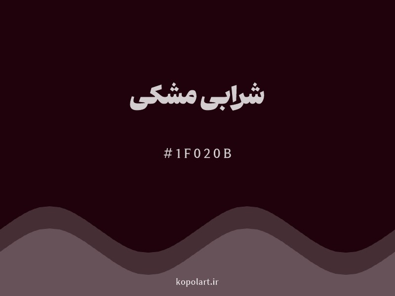 رنگ شرابی مشکی با کد هگزادسیمال 1F020B