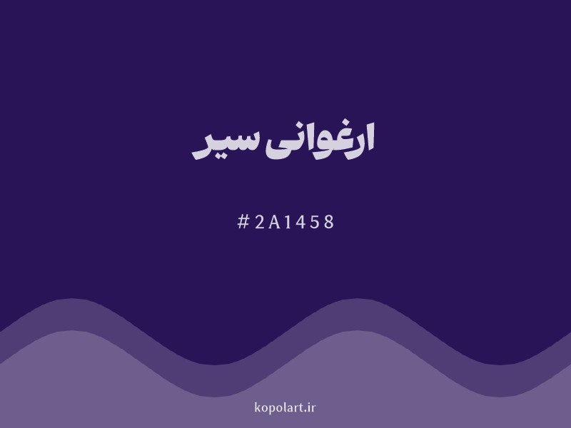 رنگ ارغوانی سیر با کد هگزادسیمال 2A1458 و نام لاتین Dark Magenta Color
