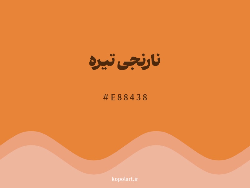 رنگ نارنجی تیره با کد هگزادسیمال E88438