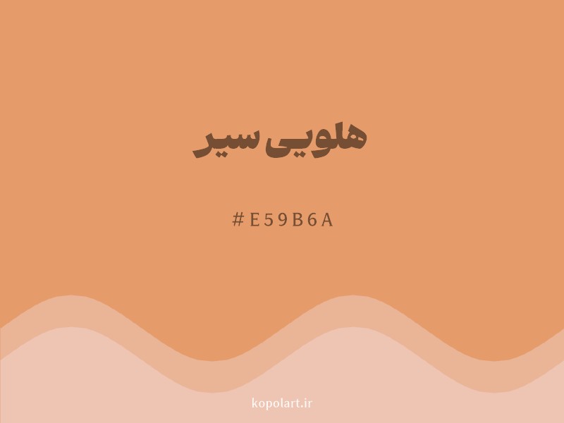رنگ هلویی سیر با کد هگزادسیمال E59B6A و نام لاتین Dark Peach Color
