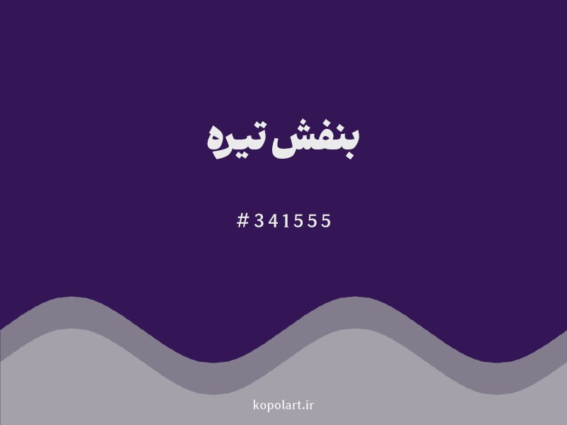 رنگ بنفش تیره با کد هگزادسیمال 341555 و نام لاتین Dark Purple Color