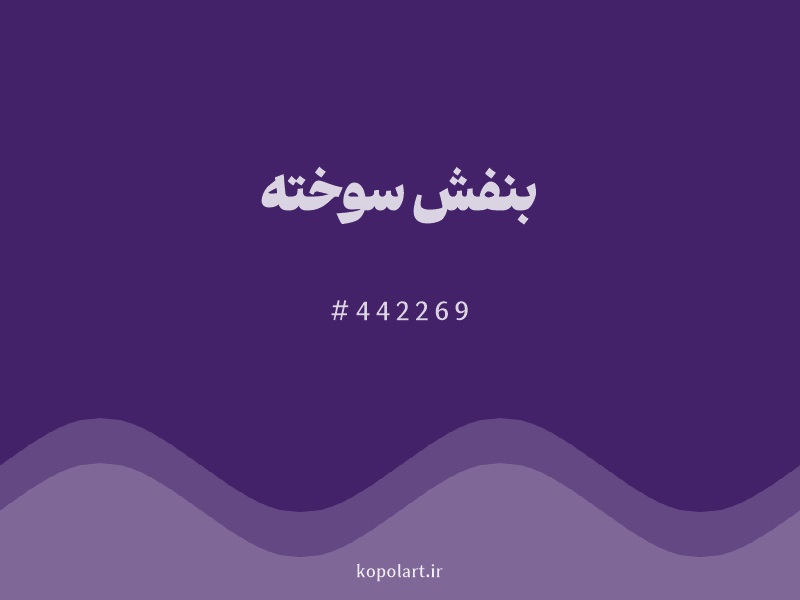 رنگ بنفش سوخته (Dark Purple Color) با کد هگزادسیمال 442269