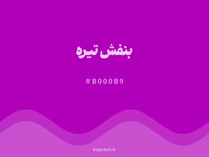 رنگ بنفش تیره (Dark Violet Color) با کد هگزادسیمال B000B9