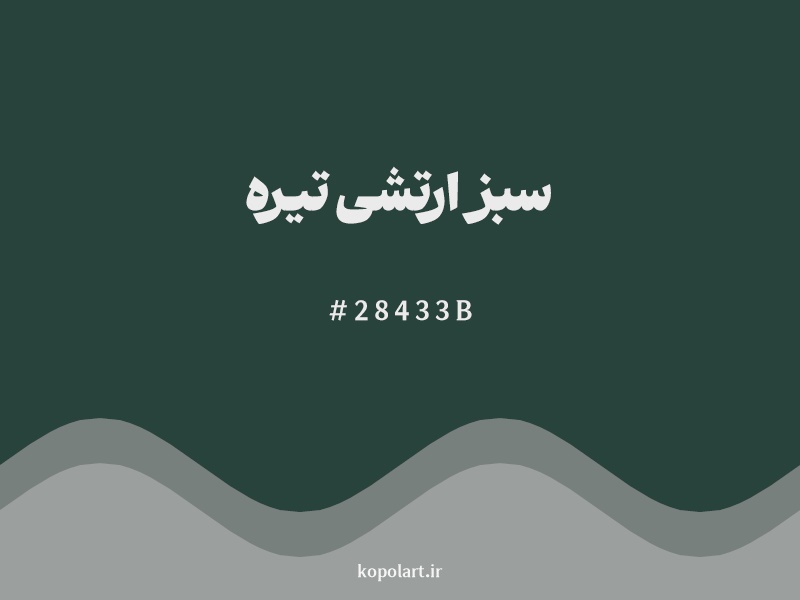 رنگ سبز ارتشی تیره با کد هگزادسیمال 28433B