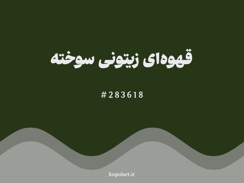 رنگ قهوه‌ای زیتونی سوخته با کد هگزادسیمال 283618
