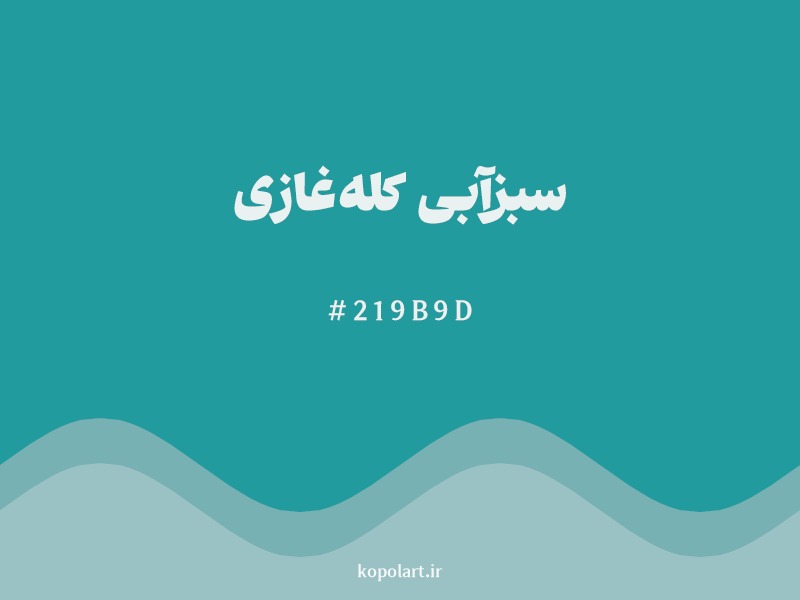 رنگ سبزآبی کله‌غازی با کد هگزادسیمال 219B9D