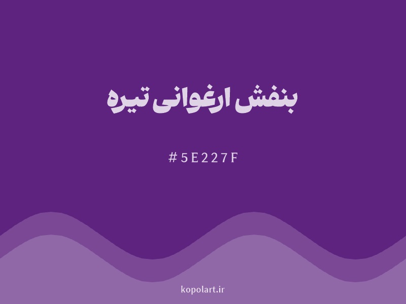 رنگ بنفش ارغوانی تیره با کد هگزادسیمال 5E227F