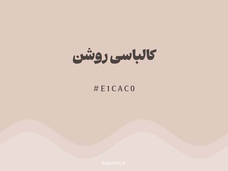 رنگ کالباسی روشن با کد هگزادسیمال E1CAC0