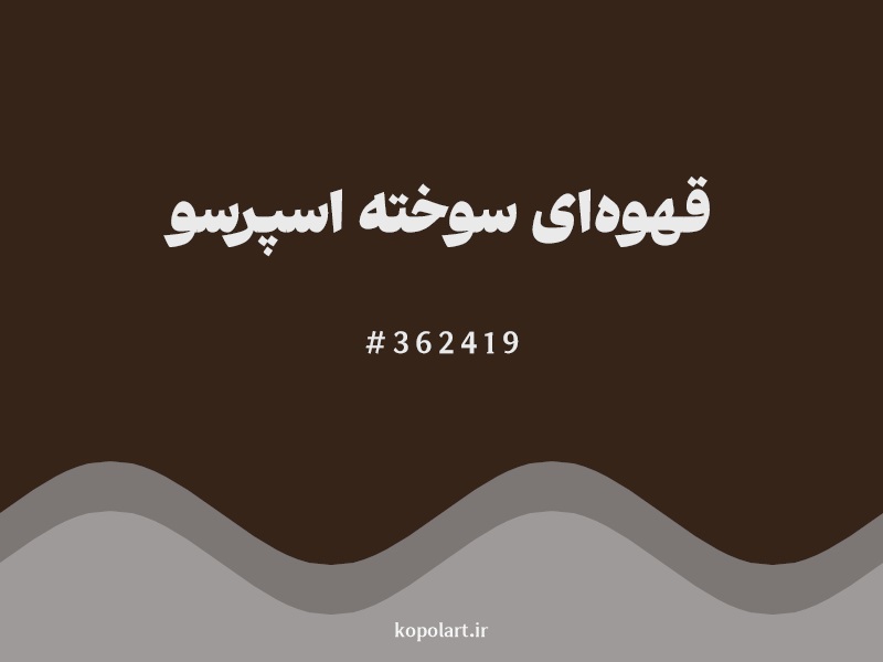 رنگ قهوه‌ای سوخته اسپرسو با کد هگزادسیمال 362419