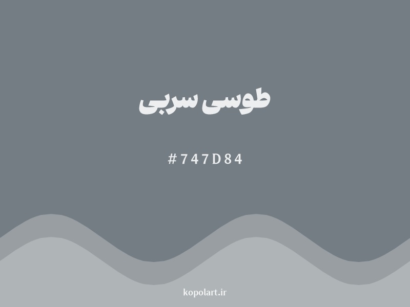 رنگ طوسی سربی با کد هگزادسیمال 747D84