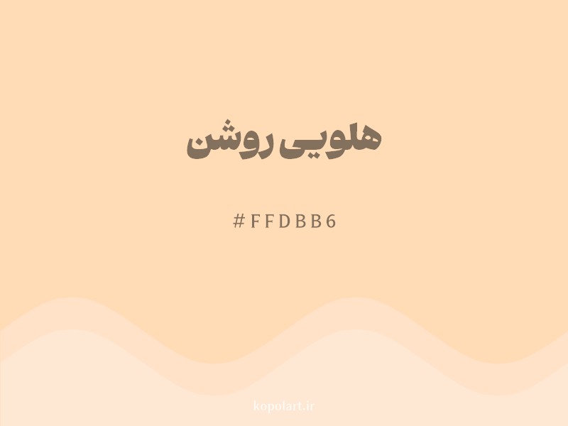 رنگ هلویی روشن با کد هگزادسیمال FFDBB6 و نام لاتین Light Apricot Color