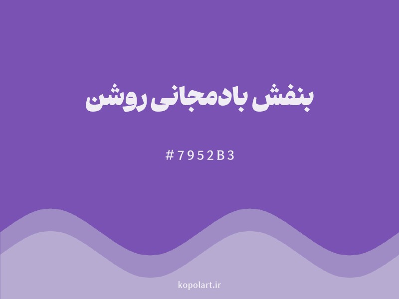 رنگ بنفش بادمجانی روشن با کد هگزادسیمال 7952B3 و نام لاتین Light Aubergine Color