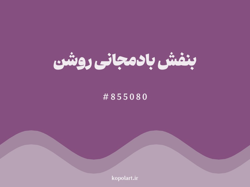 رنگ بنفش بادمجانی روشن با کد هگزادسیمال 855080
