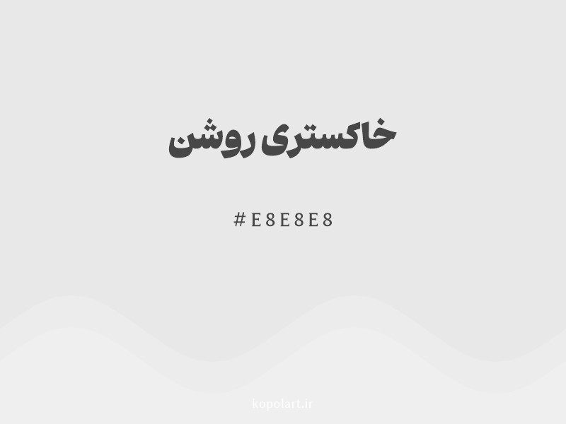 رنگ خاکستری روشن با کد هگزادسیمال E8E8E8 و نام لاتین Light Gray Color