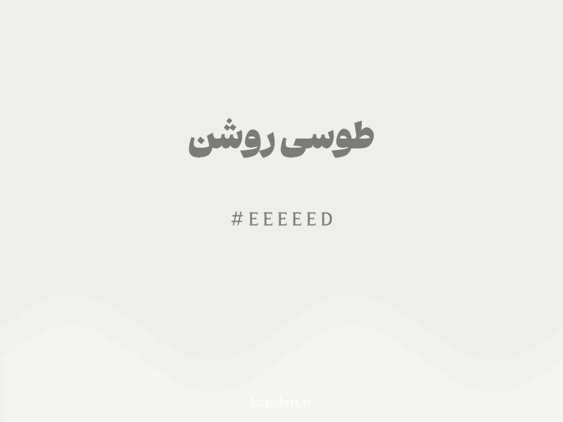 رنگ طوسی روشن با کد هگزادسیمال EEEEED و نام لاتین Light Gray Color