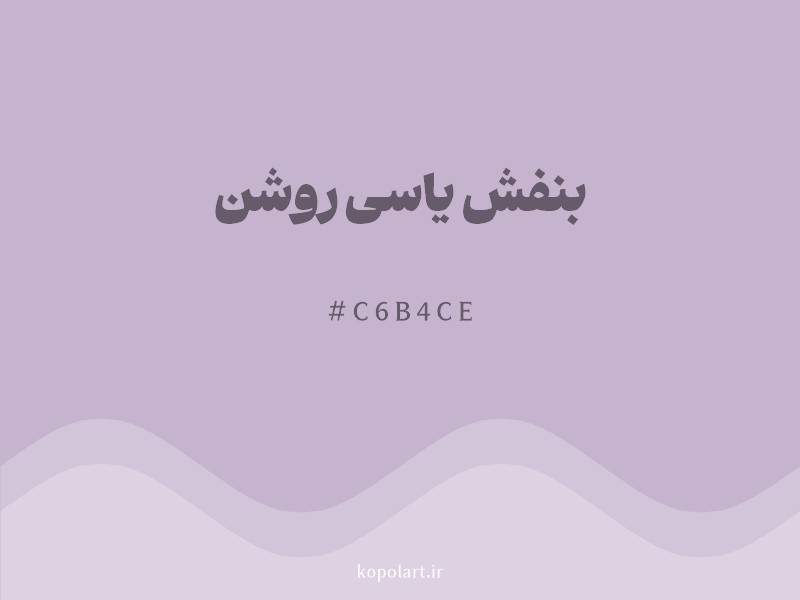 رنگ بنفش یاسی روشن با کد هگزادسیمال C6B4CE و نام لاتین Light Lilac Color