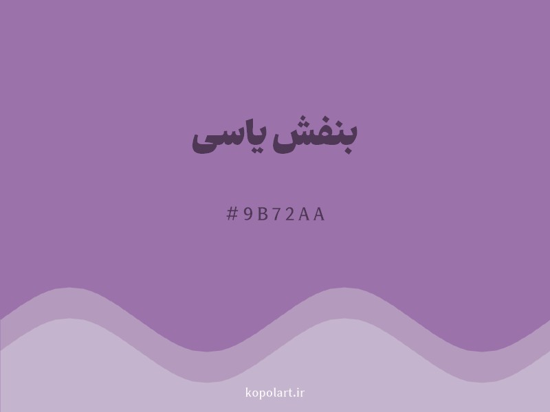 رنگ بنفش یاسی با کد هگزادسیمال 9B72AA و نام لاتین Lilac Color