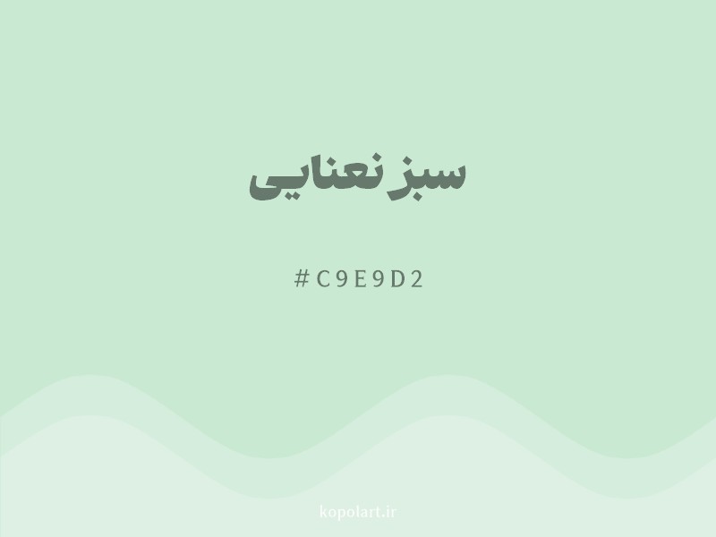 رنگ سبز نعنایی با کد هگزادسیمال C9E9D2 و نام لاتین Mint Green Color