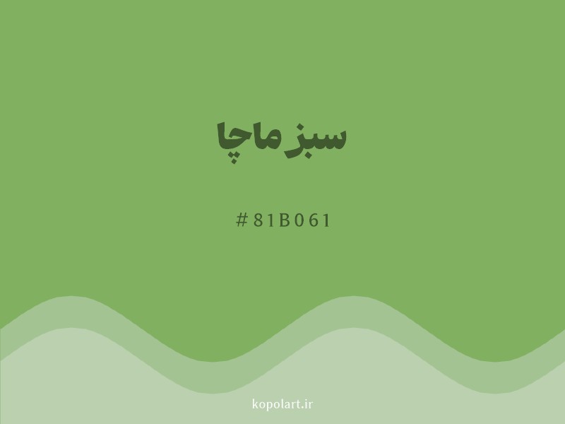 رنگ سبز ماچا با کد هگزادسیمال 81B061 و نام لاتین Muccha Green Color