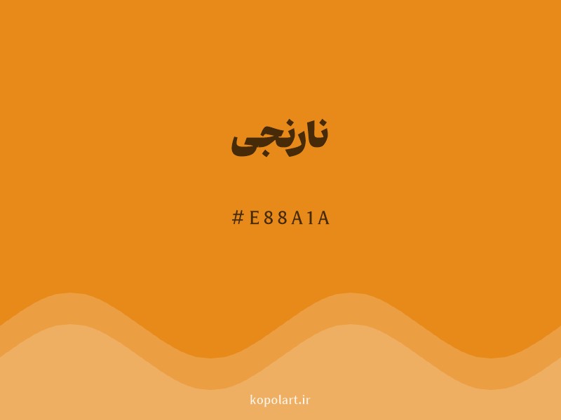 رنگ نارنجی با کد هگزادسیمال E88A1A و نام لاتین Orange Color