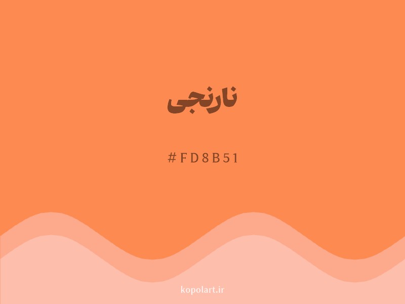 رنگ نارنجی با کد هگزادسیمال FD8B51 و نام لاتین Orange Color