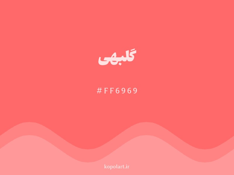 رنگ گلبهی با کد هگزادسیمال FF6969