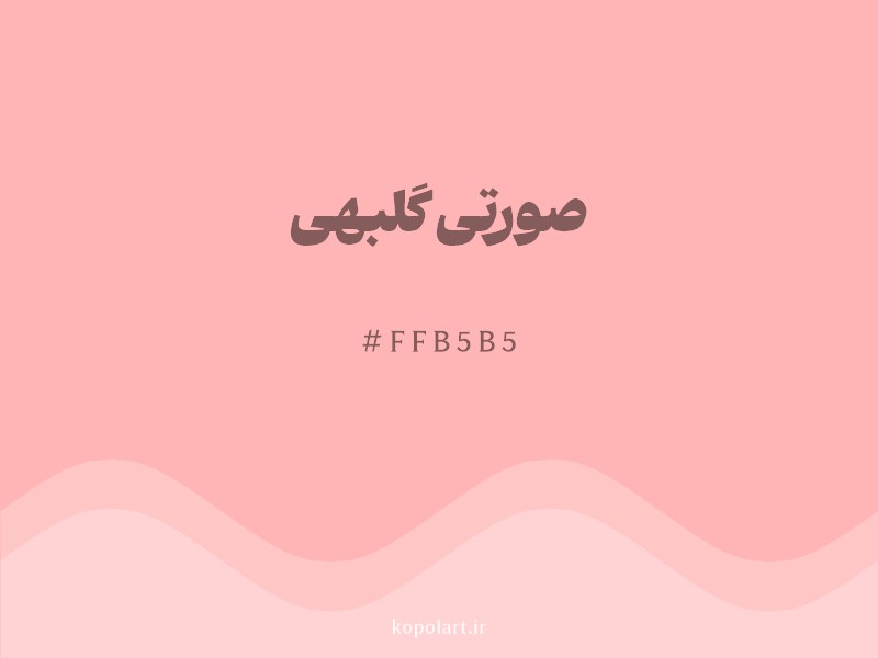 رنگ صورتی گلبهی با کد هگزادسیمال FFB5B5 و نام لاتین Peach Pink Color