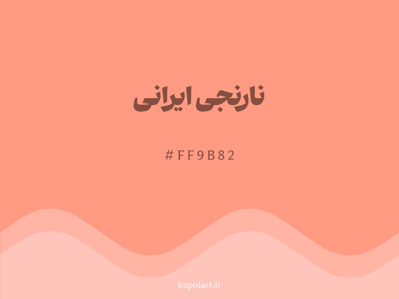 رنگ نارنجی ایرانی با کد هگزادسیمال FF9B82 و نام لاتین Persian Orange Color