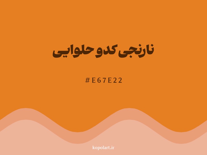 رنگ نارنجی کدو حلوایی با کد هگزادسیمال E67E22