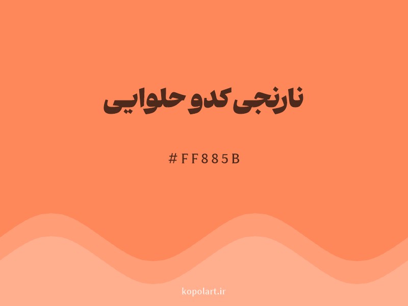 رنگ نارنجی کدو حلوایی با کد هگزادسیمال FF885B