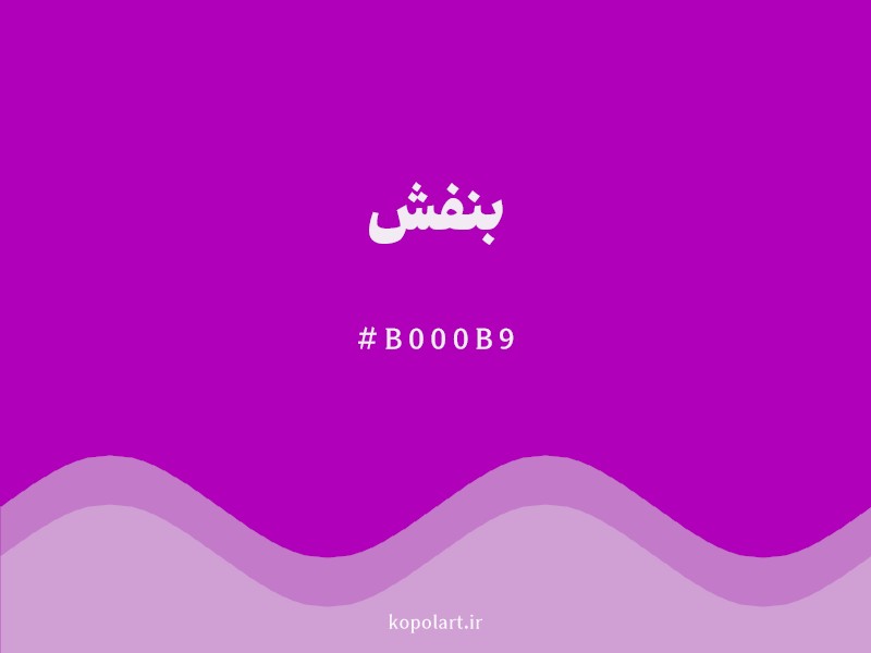 رنگ بنفش با کد هگزادسیمال B000B9