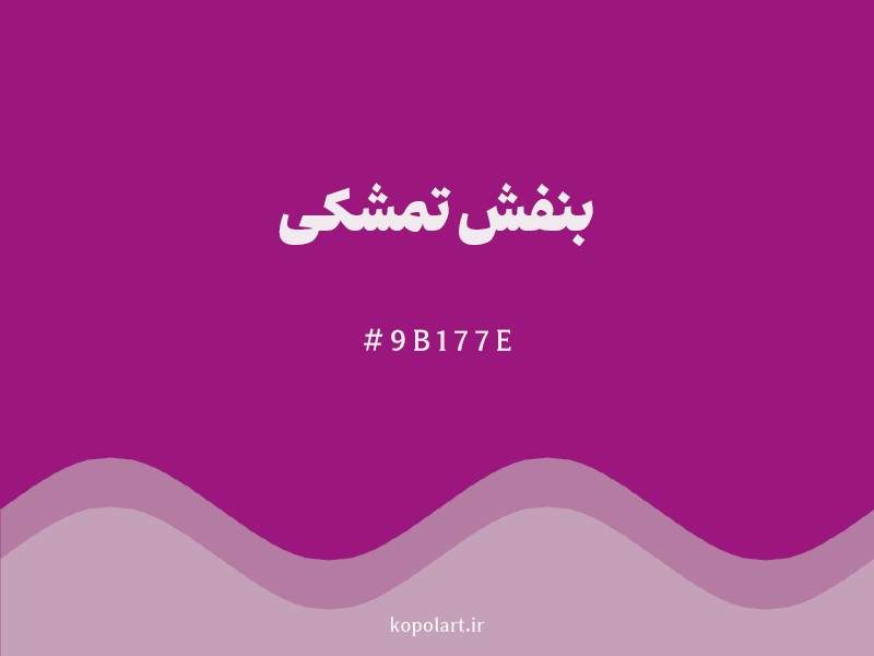 رنگ بنفش تمشکی با کد هگزادسیمال 9B177E و نام لاتین Raspberry Purple Color