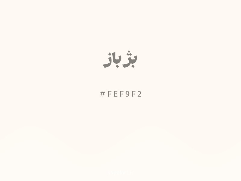 رنگ بژ باز با کد هگزادسیمال FEF9F2 و نام لاتین Seashell Color