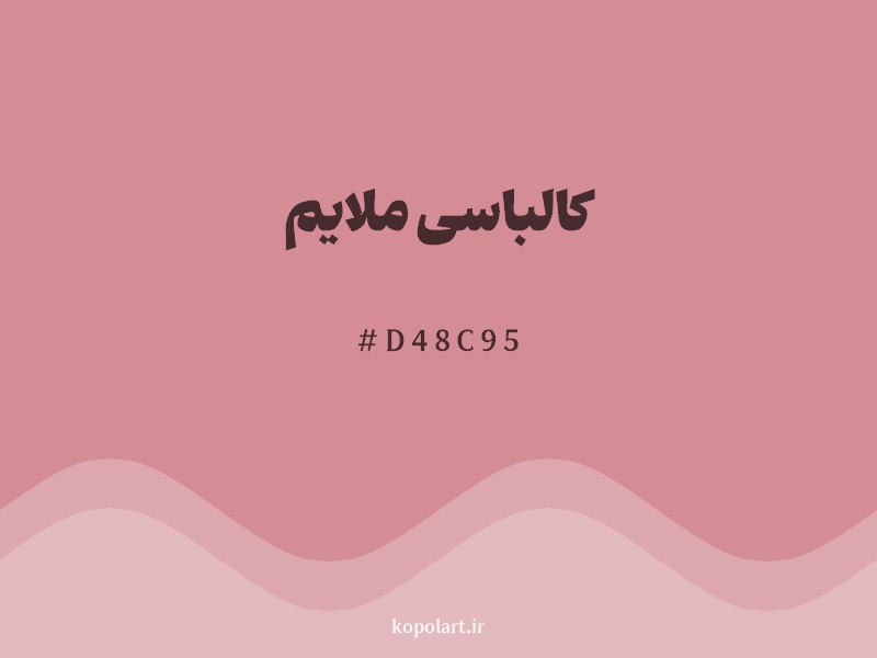 رنگ کالباسی ملایم با کد هگزادسیمال D48C95
