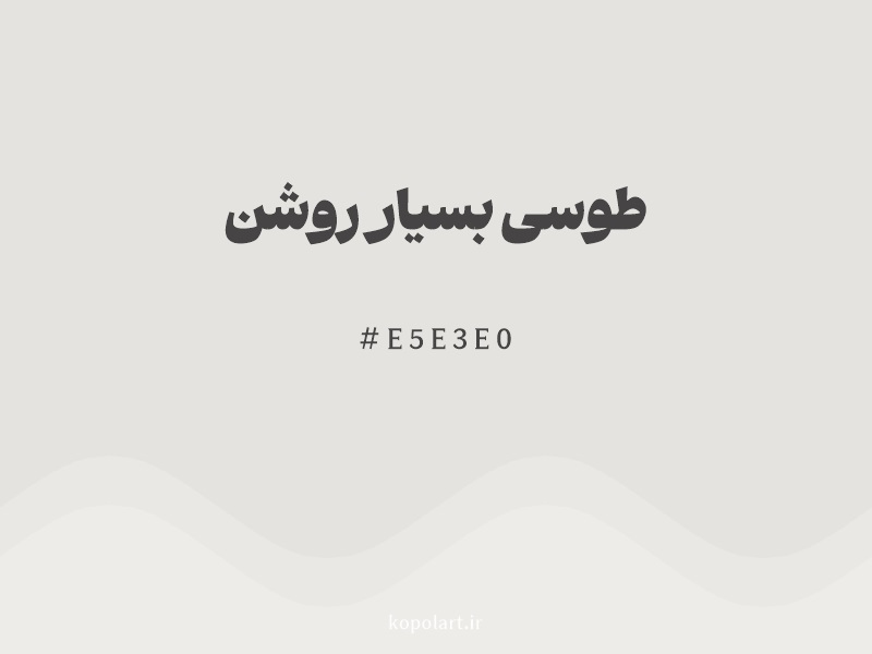 رنگ طوسی بسیار روشن با کد هگزادسیمال E5E3E0
