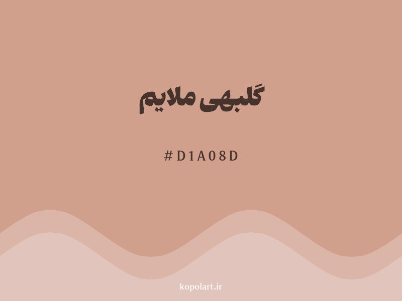 رنگ گلبهی ملایم با کد هگزادسیمال D1A08D