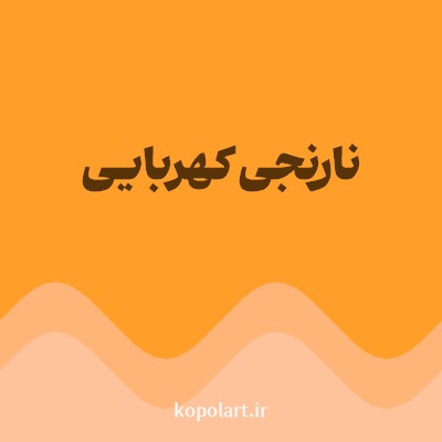 رنگ نارنجی کهربایی با کد FF9F29